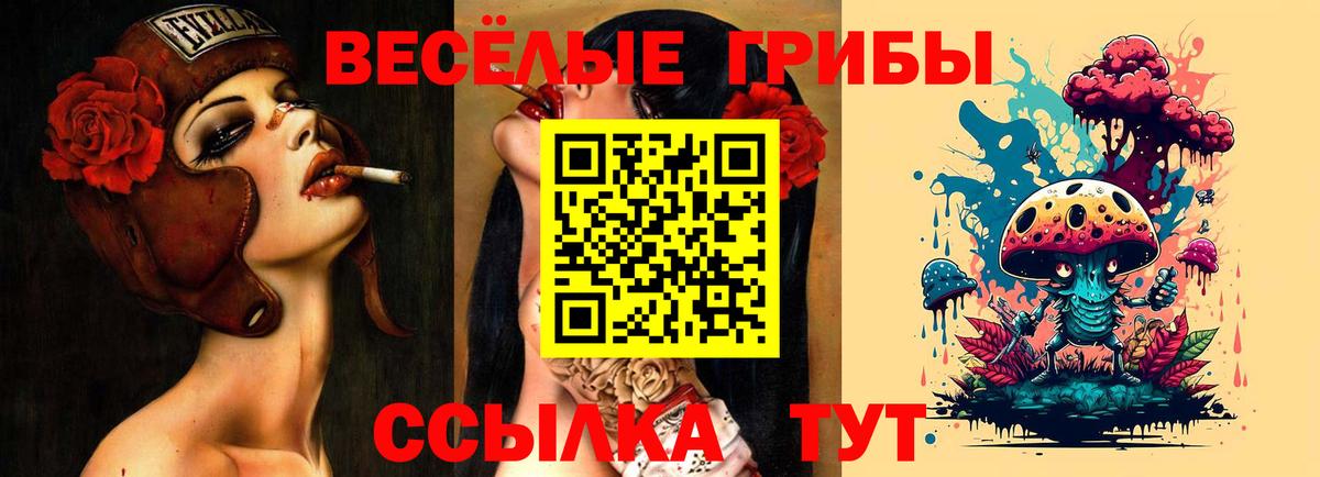 Псилоцибиновые грибы Psilocybe  Карасук 