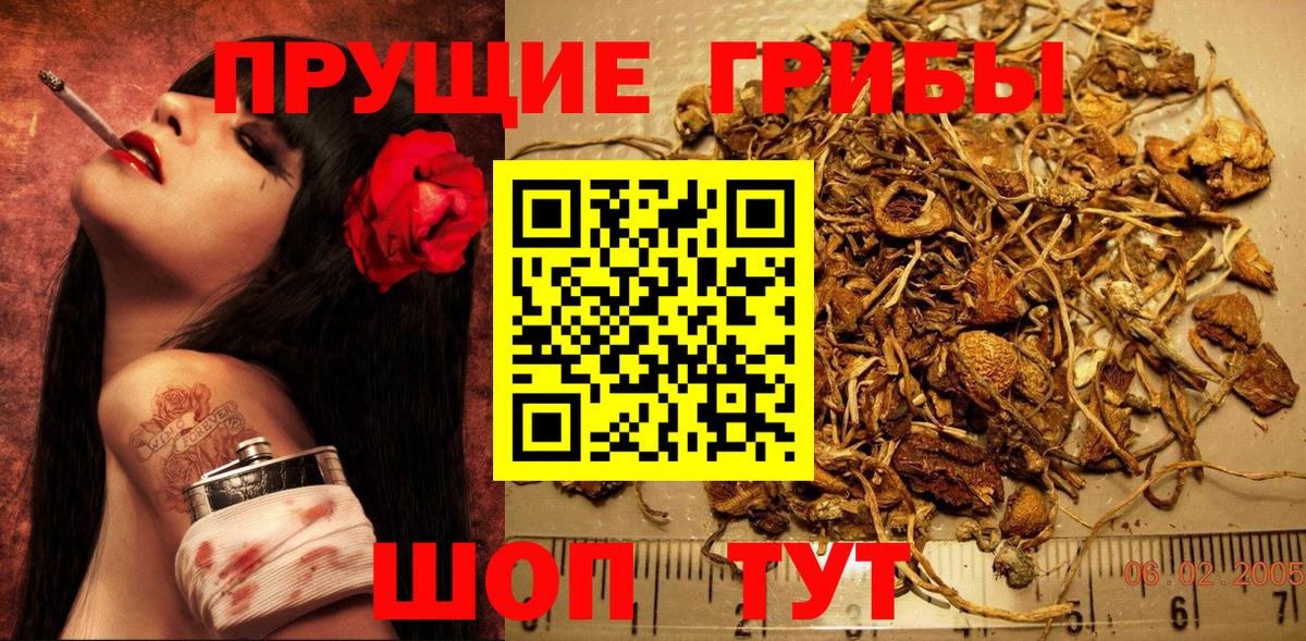 Галлюциногенные грибы прущие грибы  Вход с VPN  Галлюциногенные грибы GOLDEN TEACHER  Карасук 