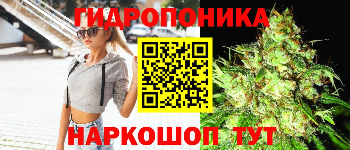 Бошки марихуана OG Kush Карасук